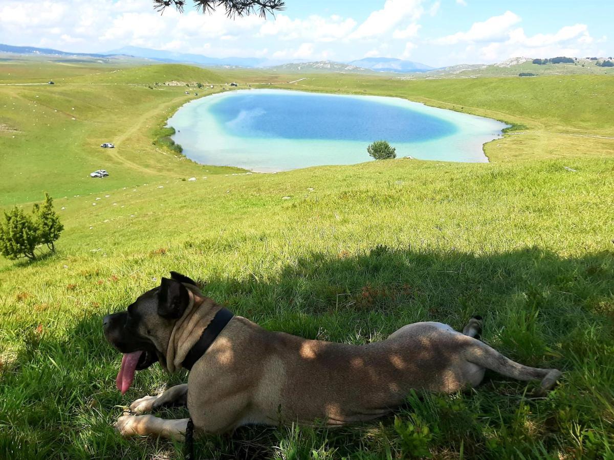 Etno Idila D&D Villa Zabljak  Bagian luar foto